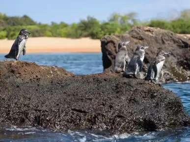 Santiago Island